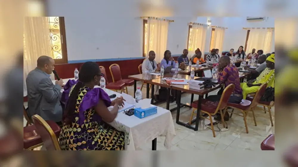 UNFPA Soutien l'Atelier de Validation du Guide National pour la Prise en Charge des Survivantes de Viol et de Violence Exercée par un Partenaire Intime